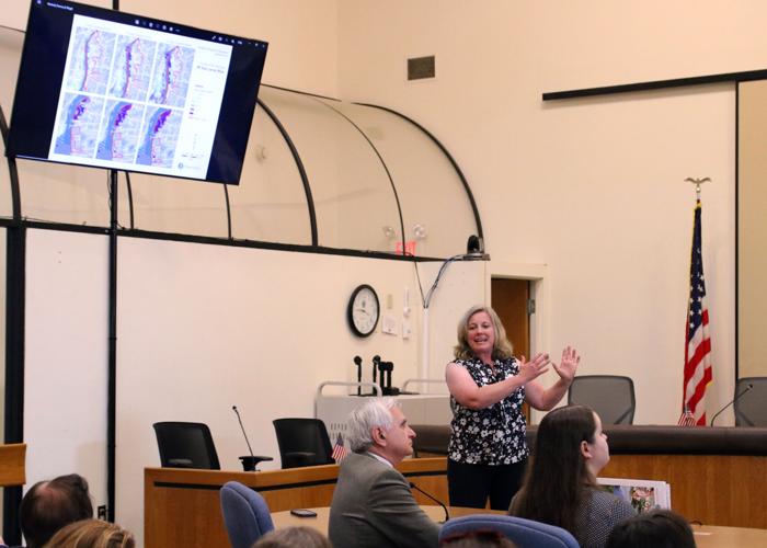 With Planning Board approval, Resilient Riverfront project steams ahead