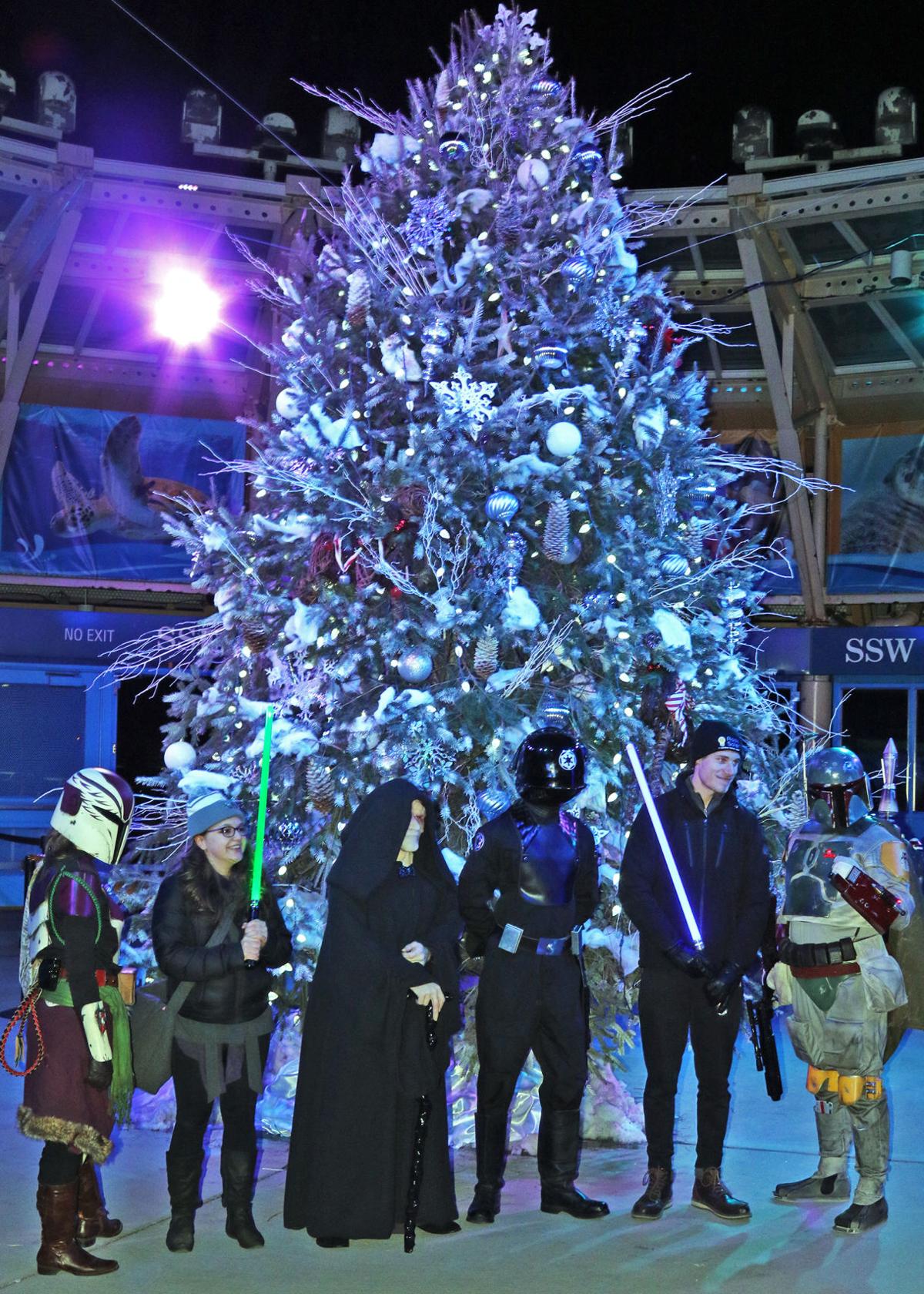 Photos Northern Lights Exhibit Opens At The Mystic Aquarium Stonington Thewesterlysun Com