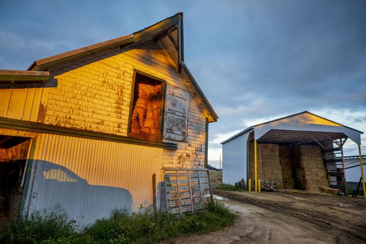 PHOTOS: Twilight at Beriah Lewis Farm | North Stonington ...