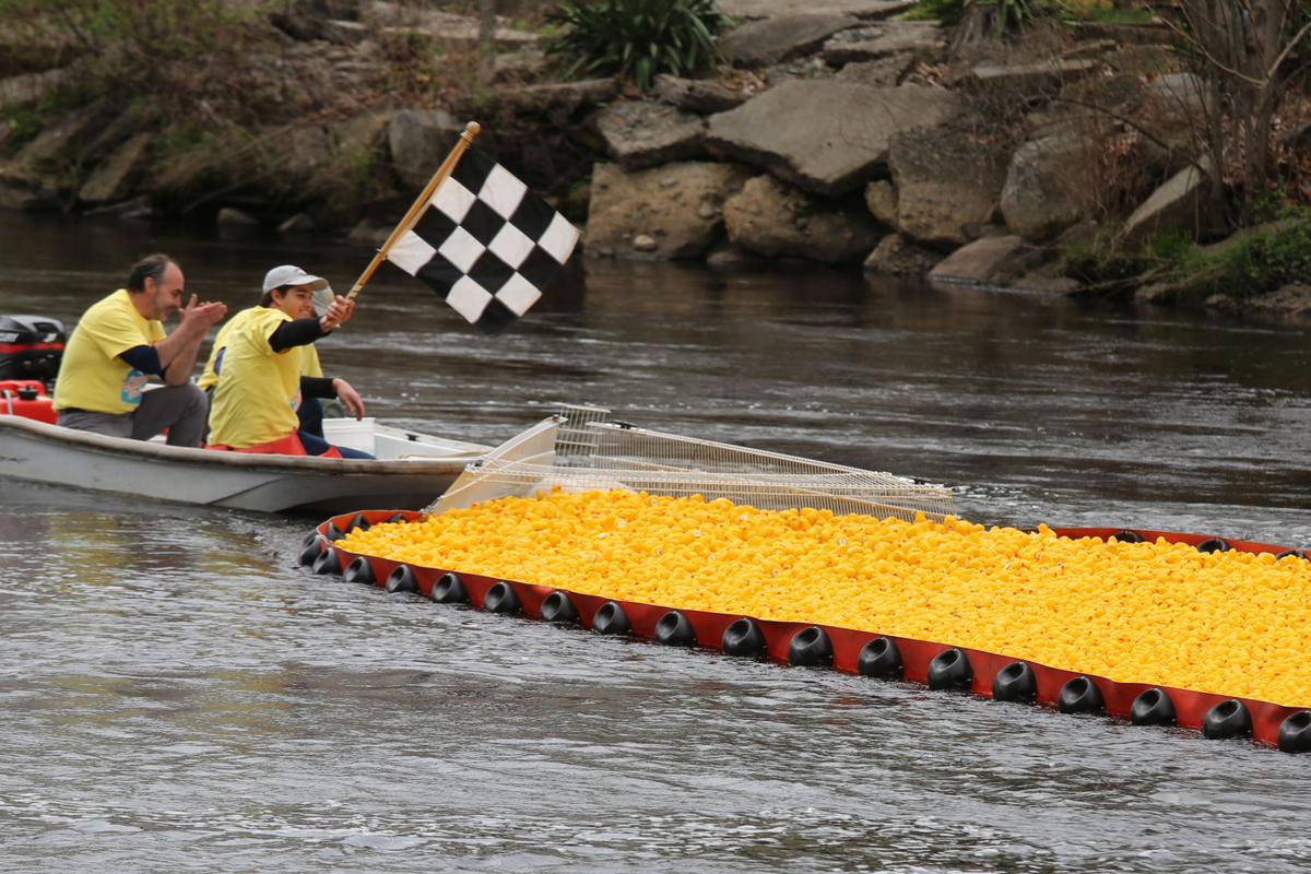 PHOTOS Ducks make a splash in Pawcatuck at 21st annual river race