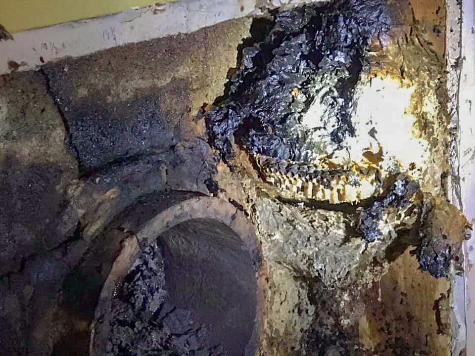 nest wasp chimney fire charlestown cited source