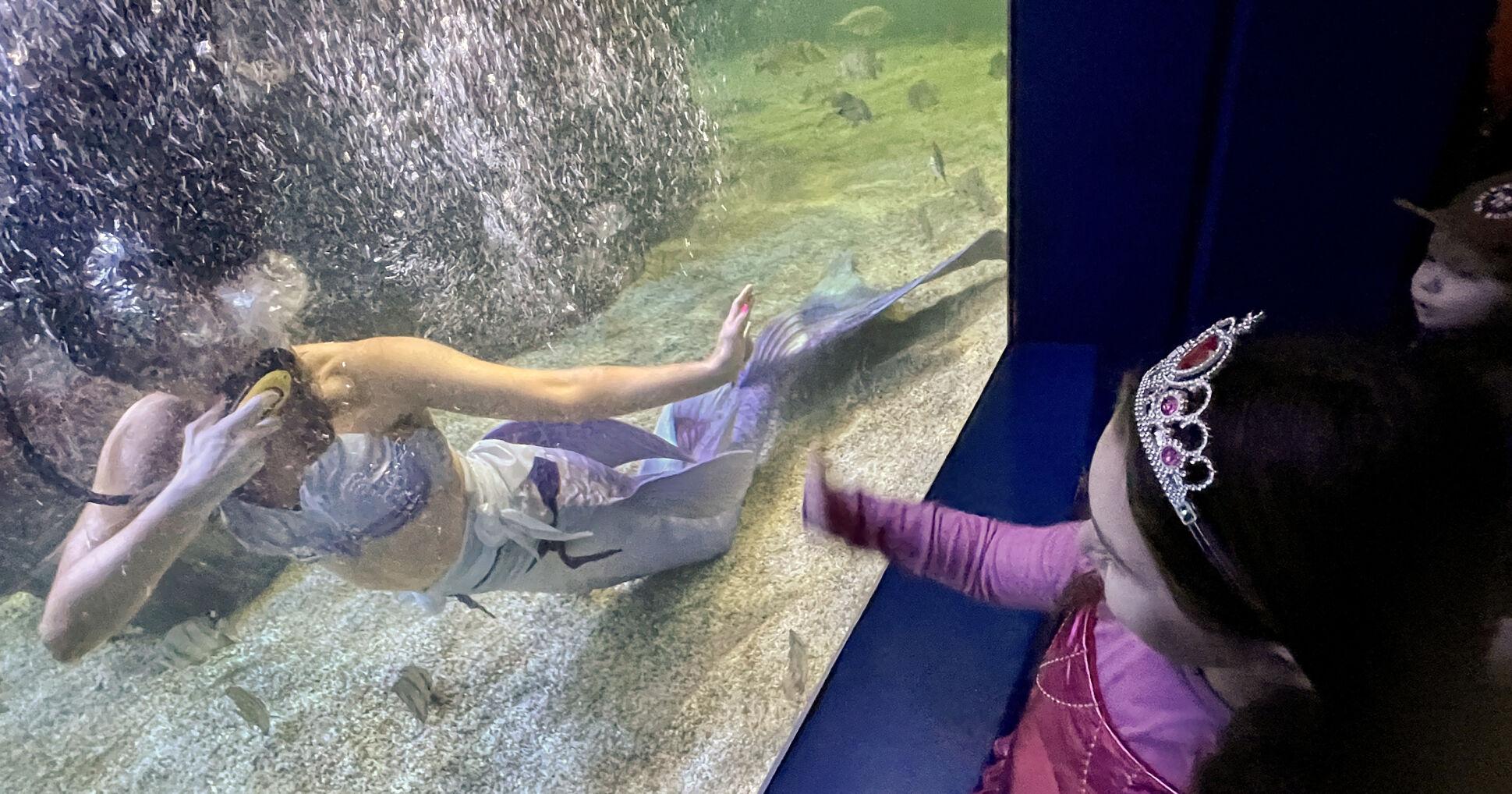 Aquarium awarded $2 million for endangered species conservation - Vimarsana News