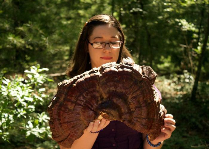 Mushroom Hunters: Wakefield pair is trying to keep ancient skill of mushroom foraging alive through the creation of new foundation