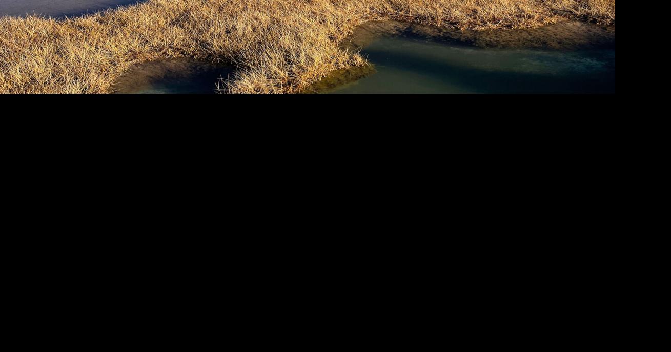 Study reveals opportunity to improve blue carbon measurements in coastal wetlands