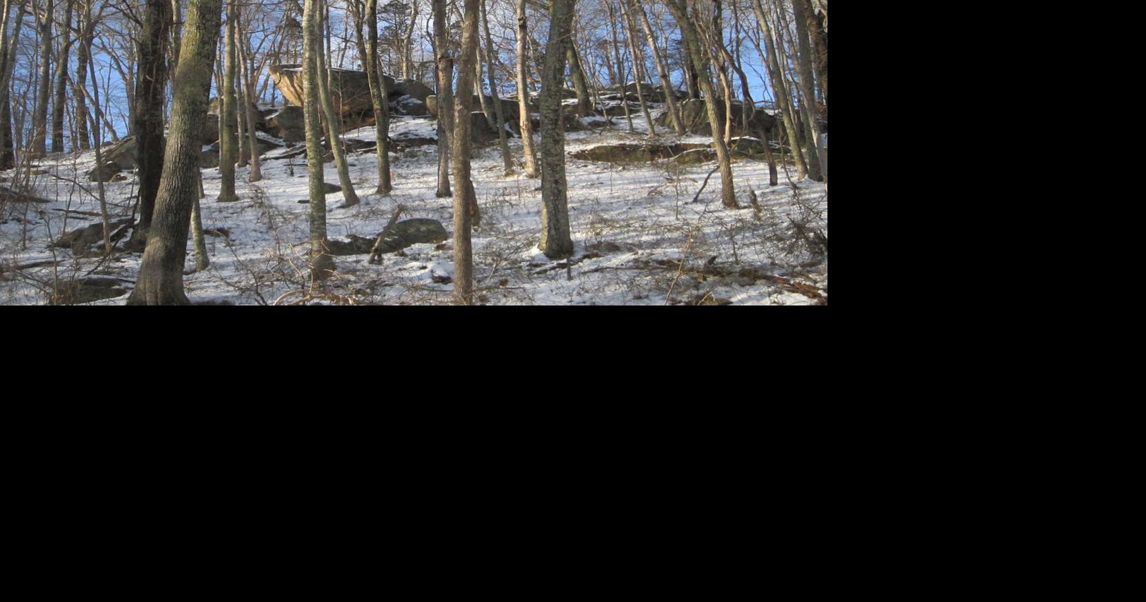 Stonington Land Trust to lead hike through Old Mystic Ridge