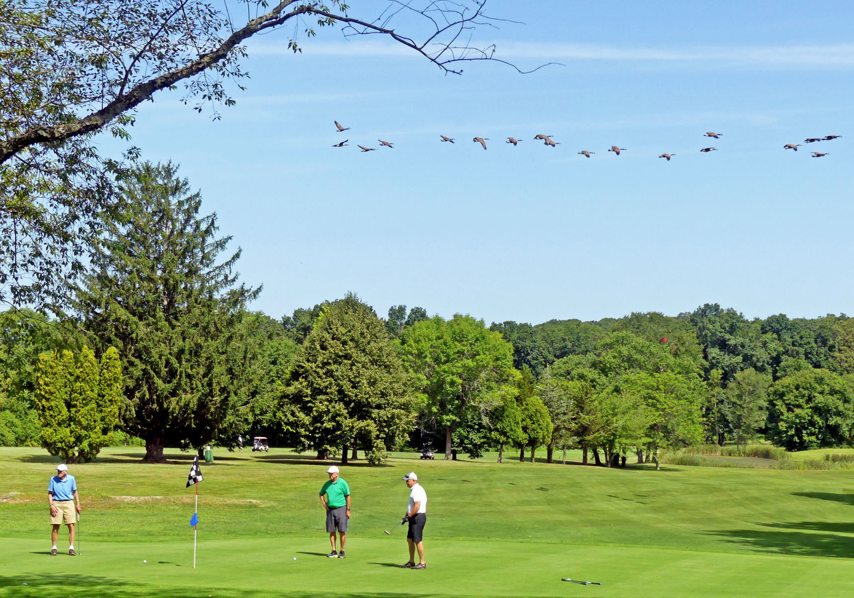 PHOTOS: Senior golf association holds tournament at Elmridge | Latest ...