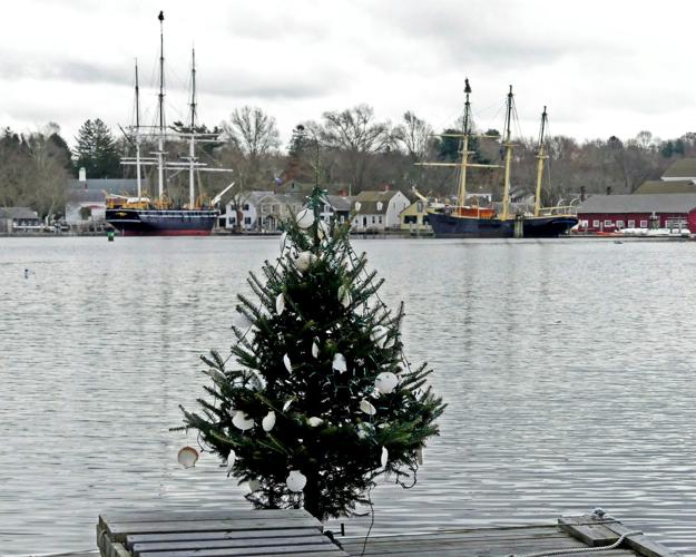 PHOTOS Christmas by the Seaport brings a flurry of decorated trees