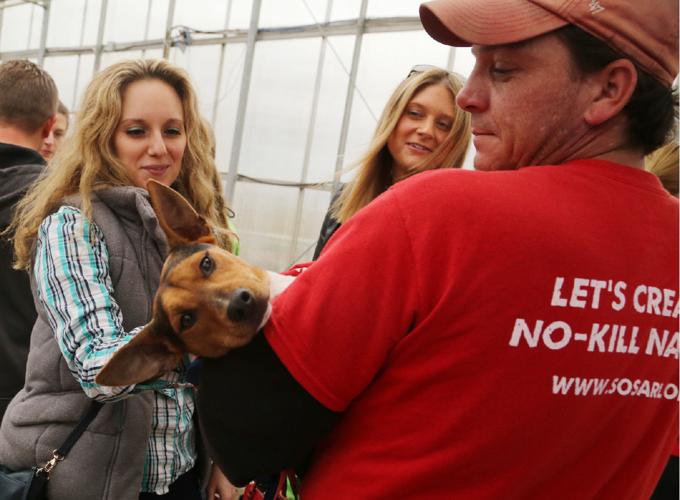 Always Adopt’s Super Dog Adoption Day News Always Adopt’s Super Dog Adoption Day News