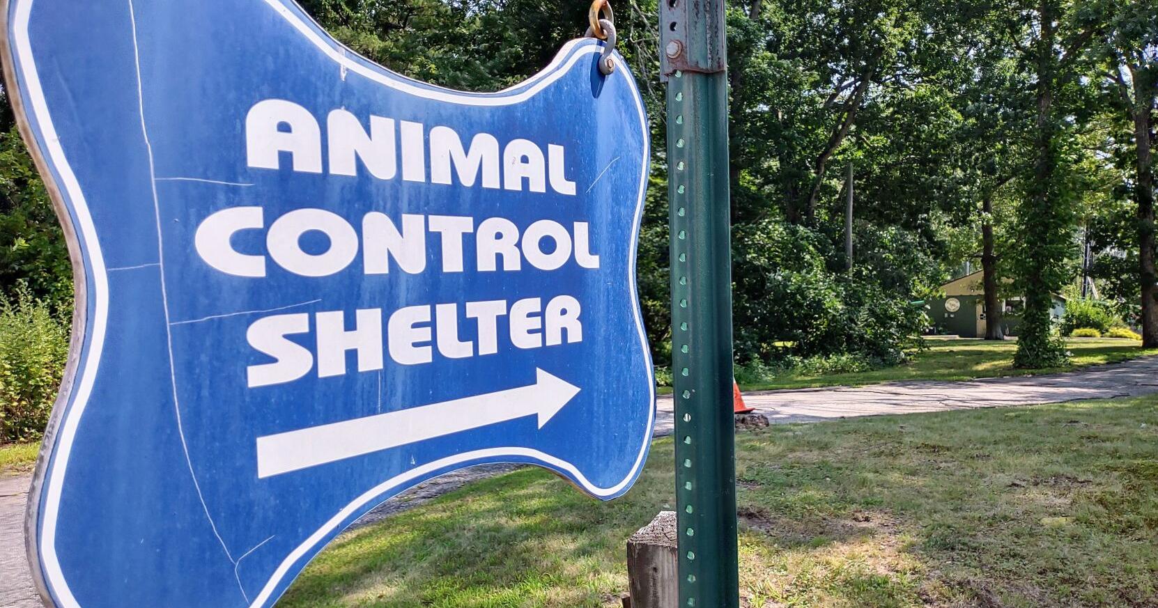Hope Valley woman's donation will allow town to explore options for animal shelter upgrades | Richmond & Hopkinton - Vimarsana News