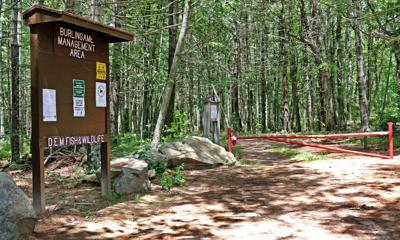 Health Department Recommends Closing Burlingame State Park Camping