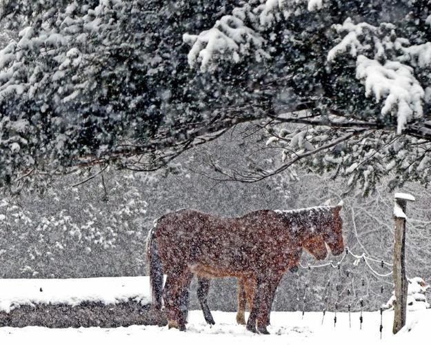 PHOTOS: Late-season storm blankets region with some early April snow ...