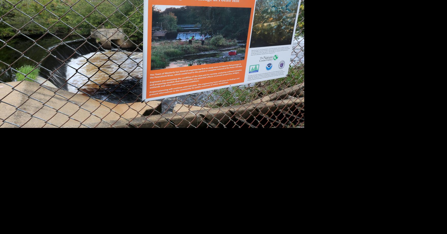 Town Council to consider options regarding Potter Hill dam Dailynews