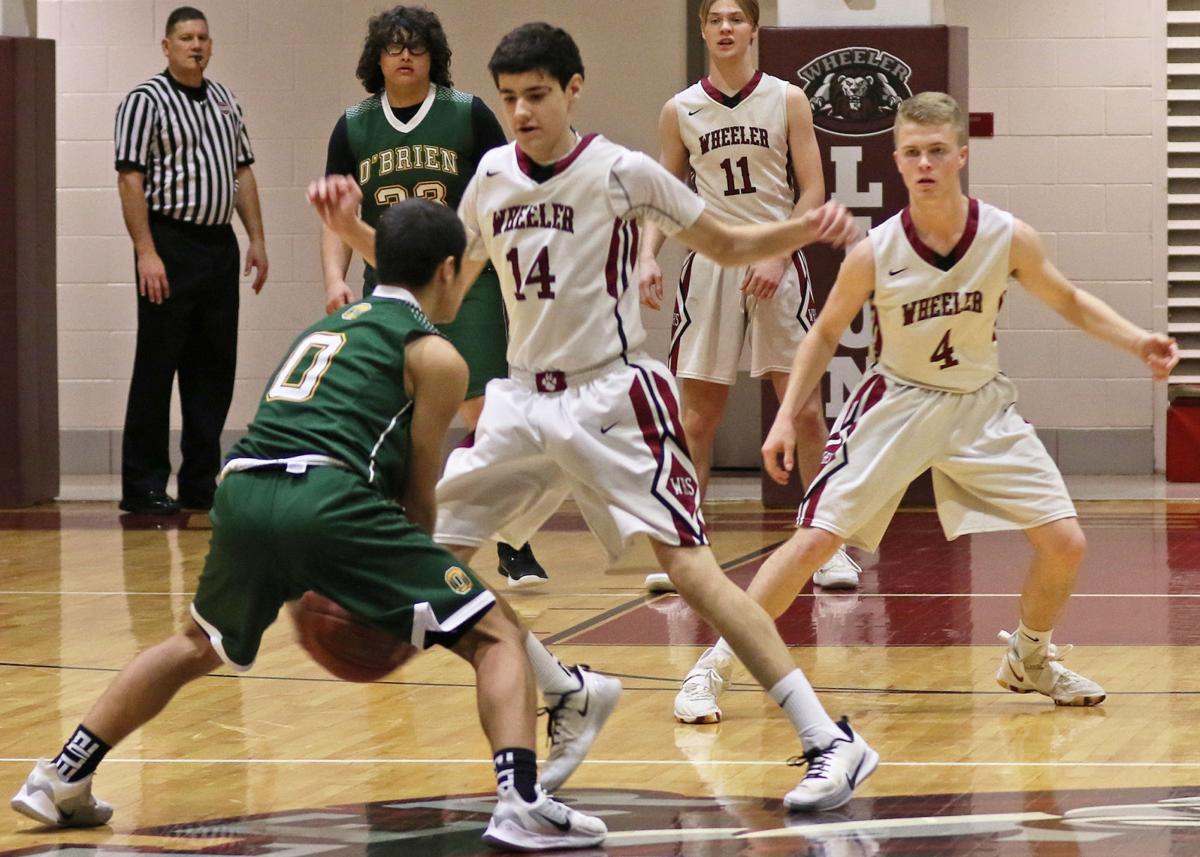 Boys Basketball Lions Advance To State Div V 2nd Round With Ot