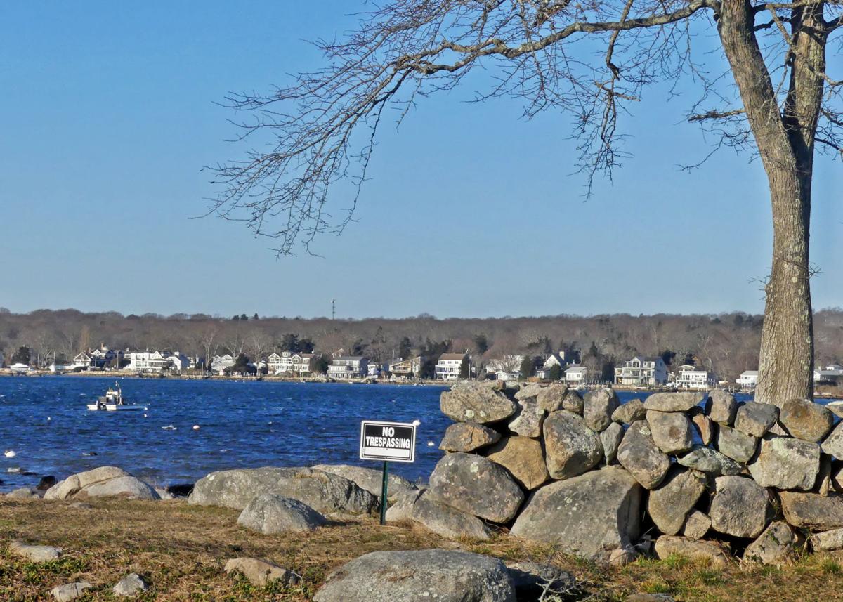 Charlestown's salt ponds are ecosystems in transition Dailynewsalerts
