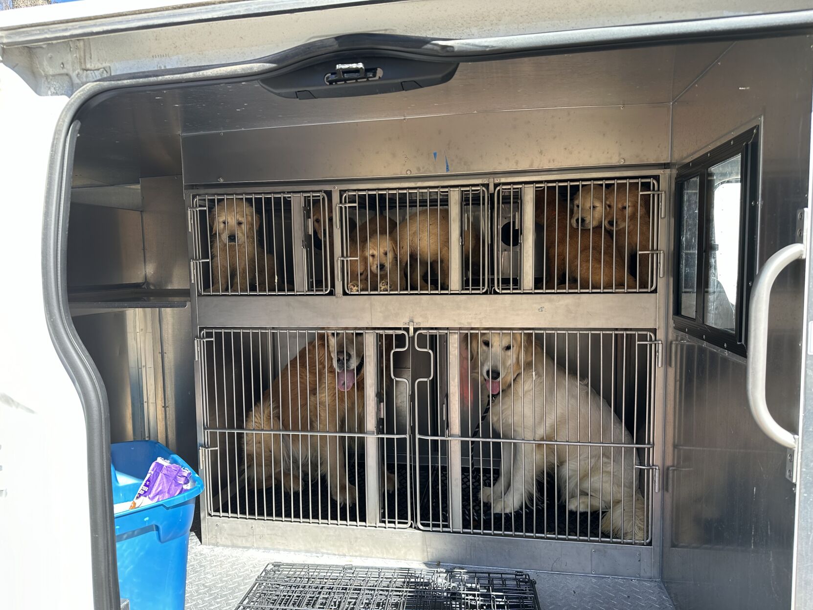 27 dogs removed from Hopkinton home Richmond Hopkinton thewesterlysun