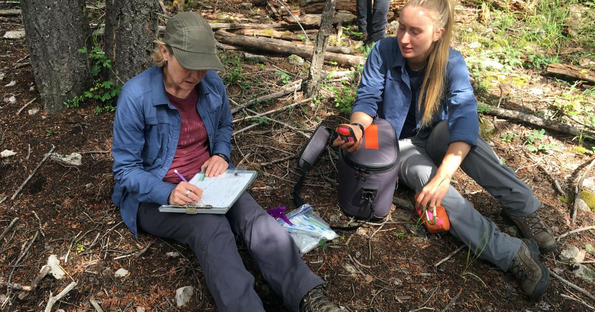 Rusty Ricketson URI student wants to be where the wild things are | Richmond ...