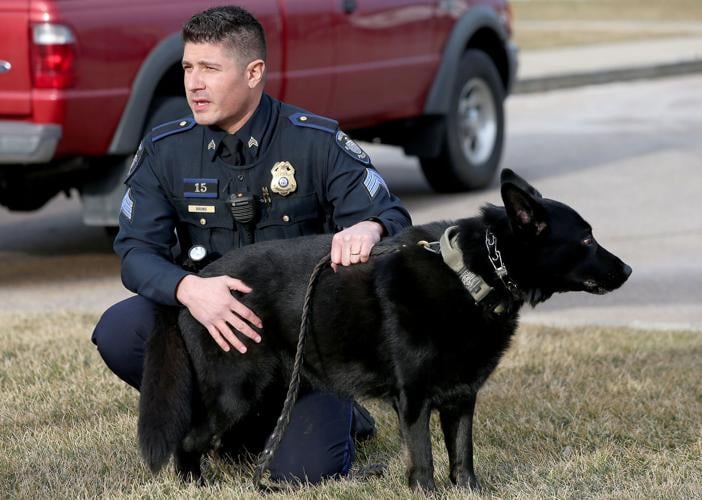 Westerly police retire police dog Niko, introduce Damon after Bruno  promoted to sergeant, Westerly