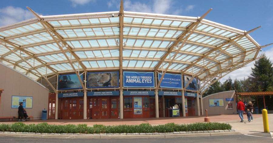 Mystic Aquarium awarded $4 million federal grant to expand STEM mentoring
