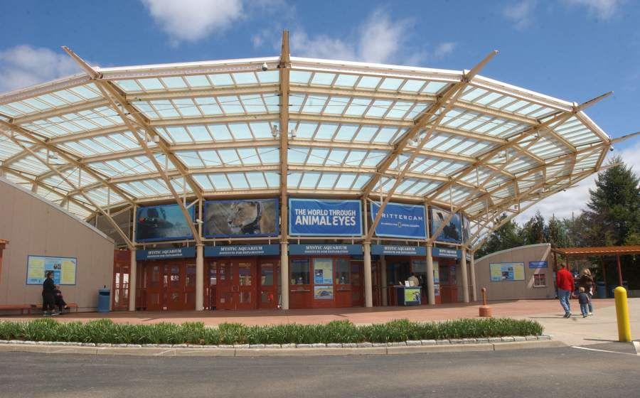 Mystic Aquarium offering free weekday admission to furloughed federal