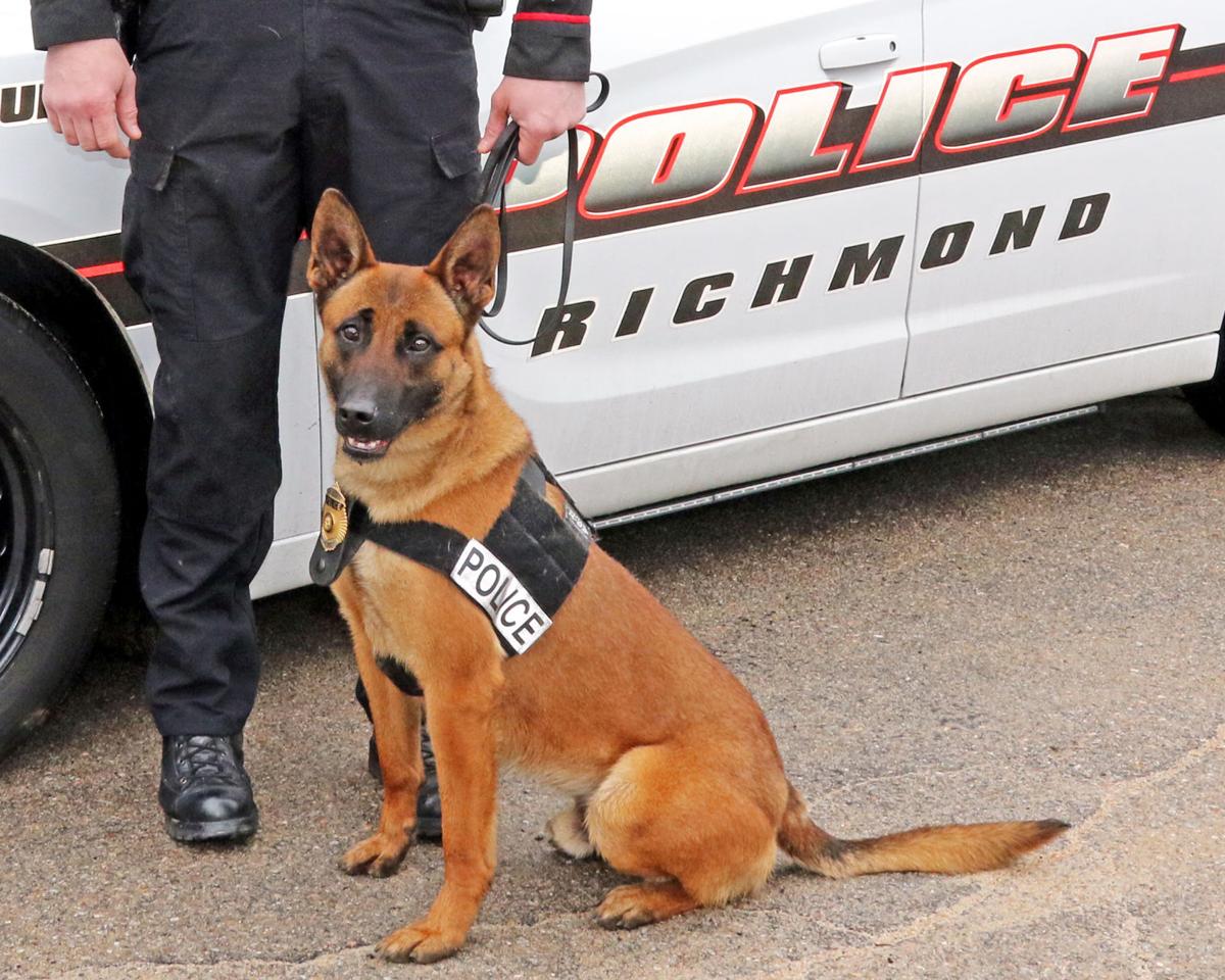 K9 Bico joins Richmond PD as town's first police dog Richmond