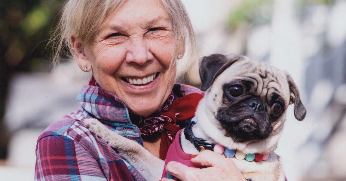 Jan Brett to stop in Westerly on countrywide bus tour for “A Christmas Sweater’ | Lifestyle