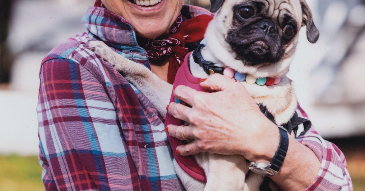 Jan Brett to stop in Westerly on countrywide bus tour for "A Christmas Sweater'