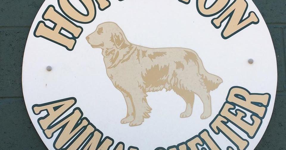 Hopkinton council awards bid, construction to begin on Animal Control Facility renovations - Vimarsana News