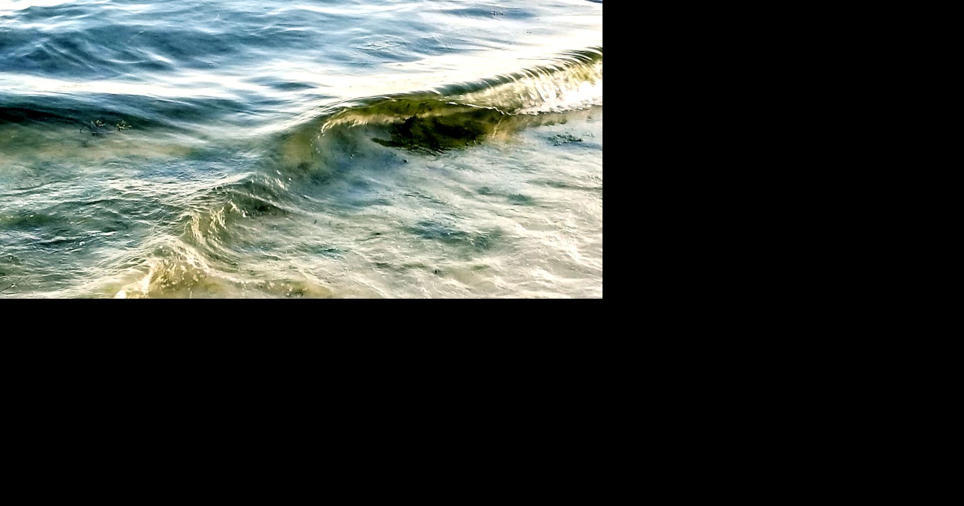 Hoxie Gallery to host opening reception for 'Following their Passion