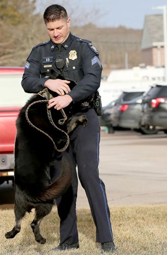 Westerville Police on X: Today, Bruno joins Officer Khyrell Baggoo as  Westerville's newest K9 team. Bruno is a 2-year old Belgian Malinois, he is  trained in tracking, area and article searches, criminal