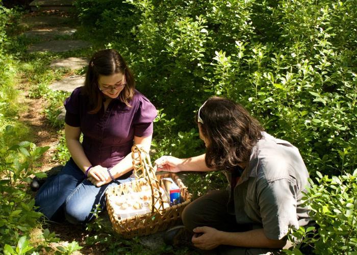 Mushroom Hunters: Wakefield pair is trying to keep ancient skill of mushroom foraging alive through the creation of new foundation