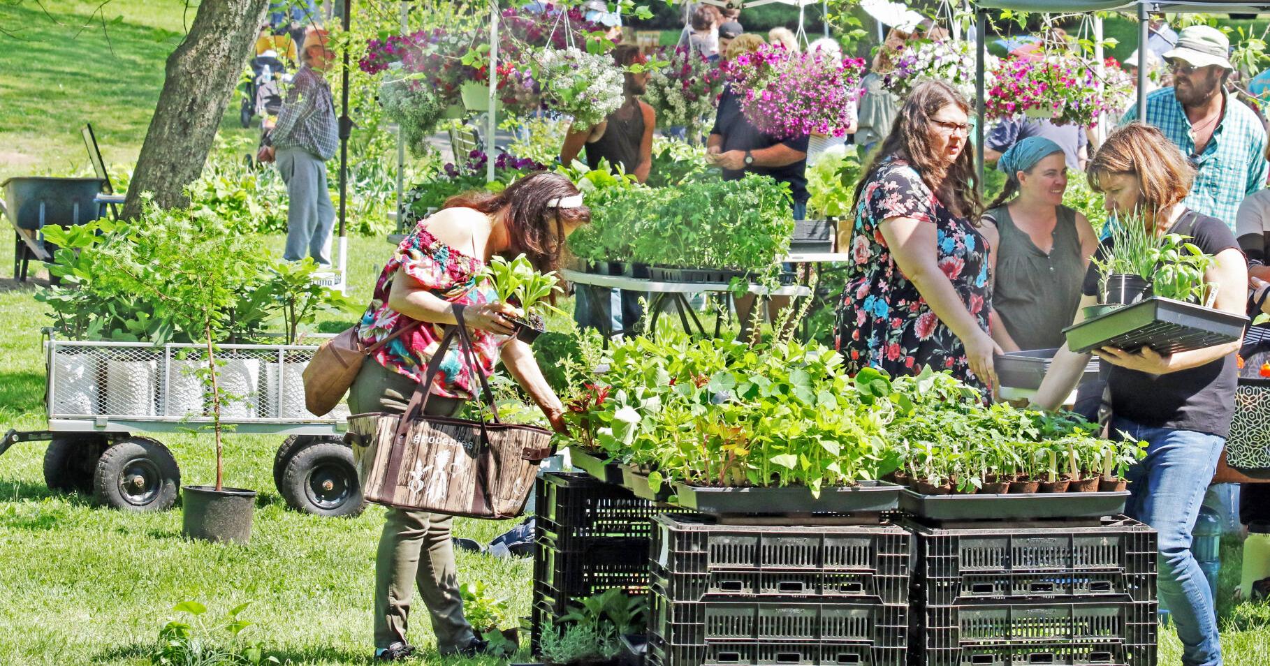 40th Annual Garden Market Fair - Vimarsana News
