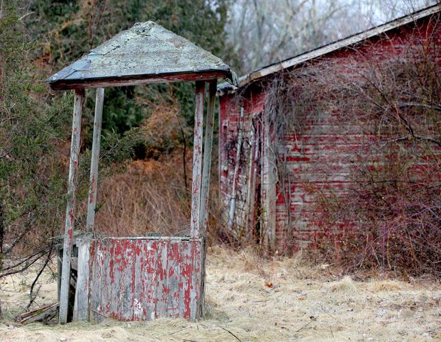 PHOTOS Life after people at North Stonington property North