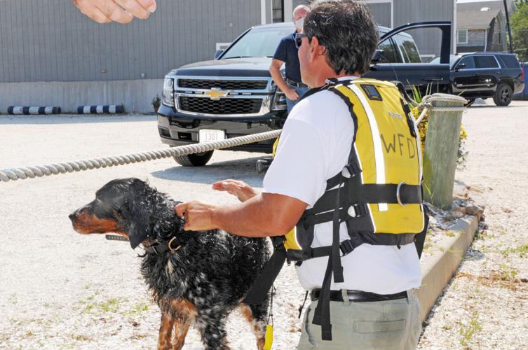 Westerly, Watch Hill firefighters rescue dog from mouth of the
