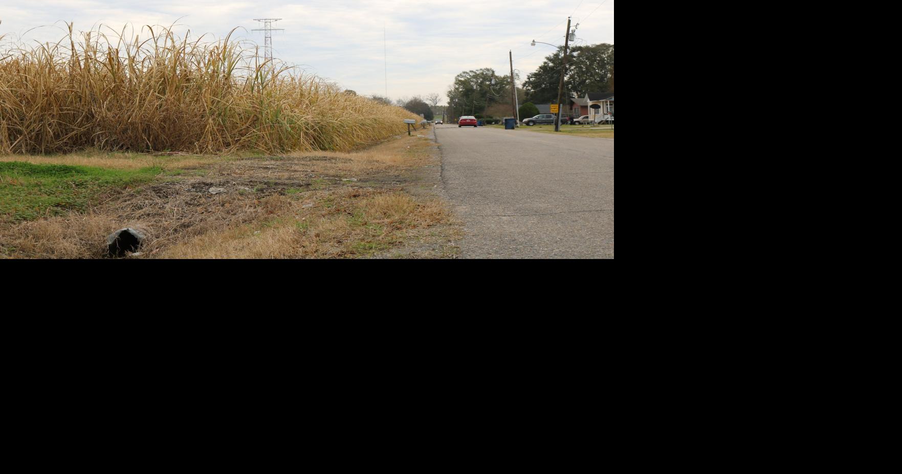 Red Hat Road residents leery of new neighborhood News