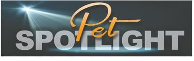 Pet Light