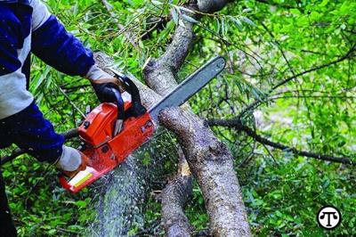 The Right Equipment Readies You For Storms, Unpredictable Spring Weather: Are You Prepared?
