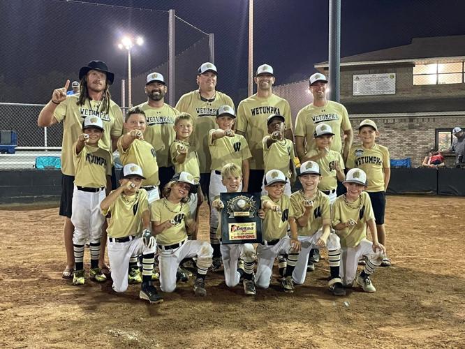 Youth baseball team wins 2nd championship, joins Orioles program