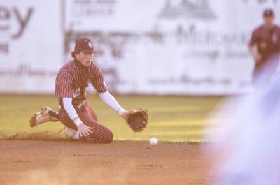 Elmore County Dadeville Baseball (copy)