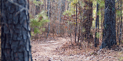Yates Lake West