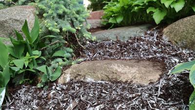 Low-maintenance landscaping tips to keep your yard looking great all season