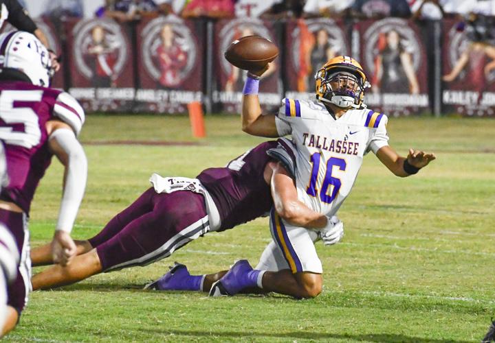 Tallassee Elmore County 01.jpg