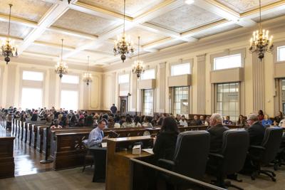 Elmore County Commission (copy)