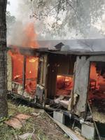 EFD live fire training session