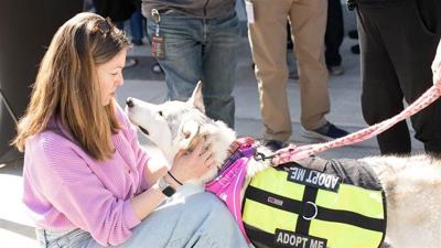 One month with big impact: Magenta Giving in action