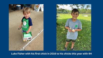 Luke Fisher with his first chick in 2016 to this year - 1