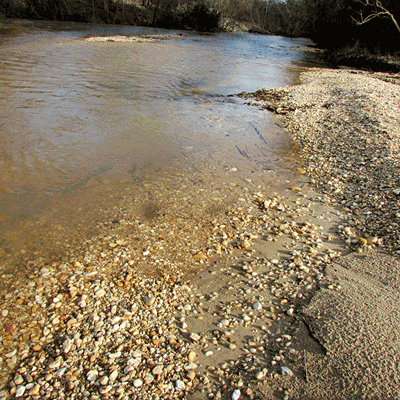 Mortar Creek
