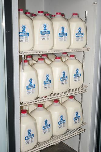 Blue Ribbon Dairy Farm