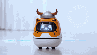 Rice Robotics feature
