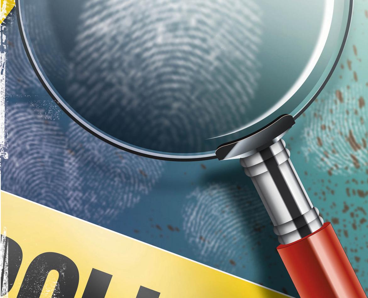 investigation