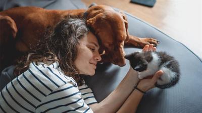Breeding responsible pet ownership: Choosing the right dog or cat